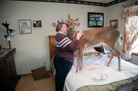 This deer must be her hubby