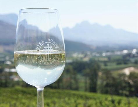 South Africa is the world’s 7th largest wine producer. Over 40% of its wines are shipped overseas